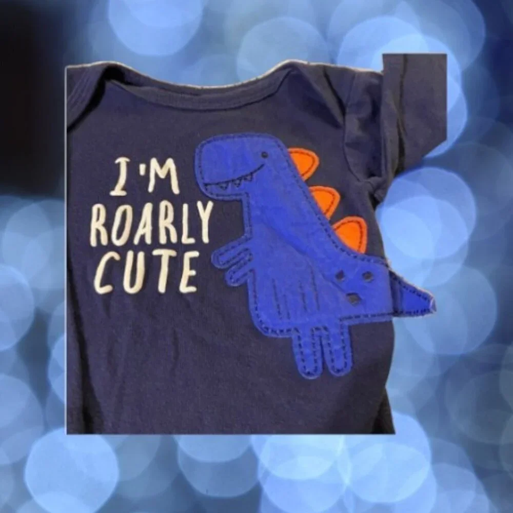 Gerber dinosaur appliqué